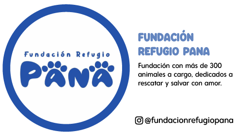 Recursos_Web.1